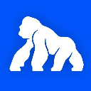 ApeCoin icon