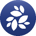 NKN icon