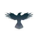 Raven Protocol icon