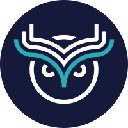Wise Token icon